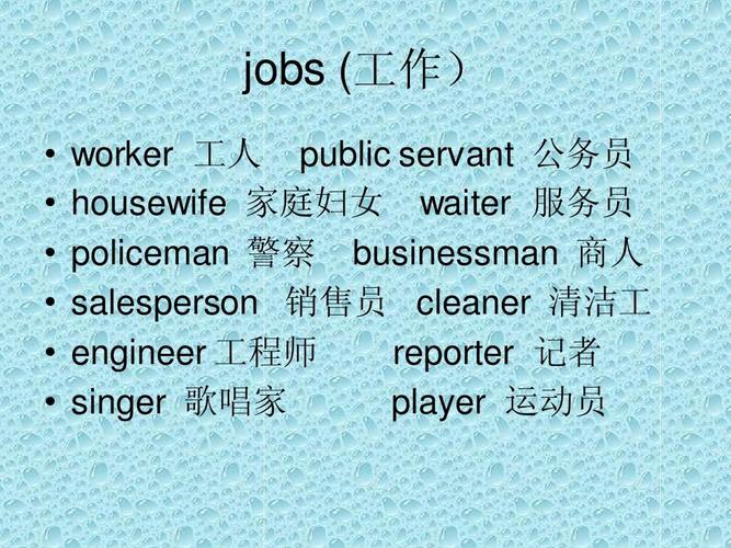 career翻译成中文是什么