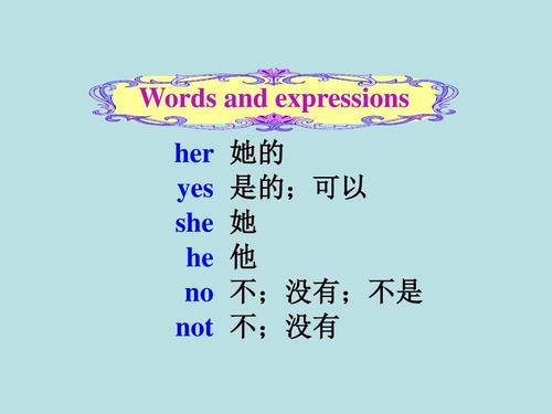 hen是什么意思翻译成中文