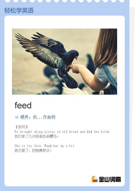 feed的中文意思是什么
